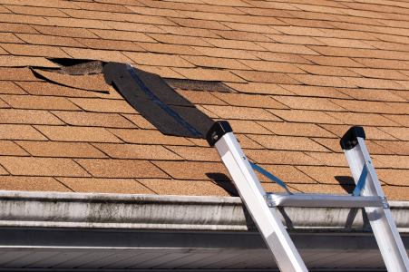 Northridge roof repair by M & M Developers Inc.